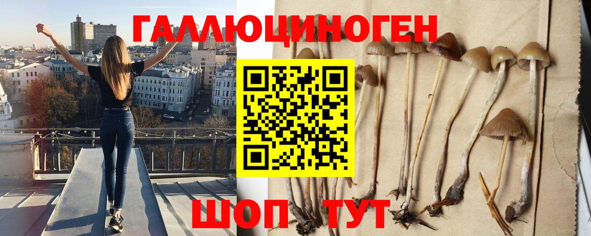 Канабис  Вход с VPN  МЕФ кристаллы  Метадон  Гашиш  Саратов  COCAIN  МЕФ 